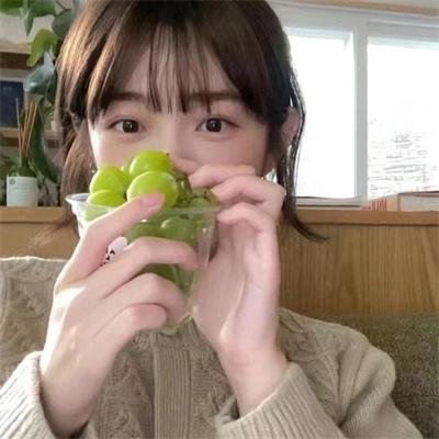 鸟类人间